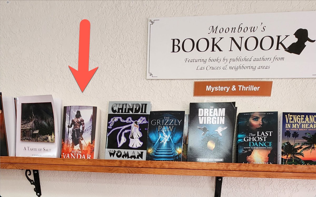 Young Vandar (my first novel) is in a small local bookstore here in Las Cruces. The owner, Alice Davenport is a huge supporter of local and regional authors. Please frequent her store if you live in the area. Both the authors and Alice would appreciate it.