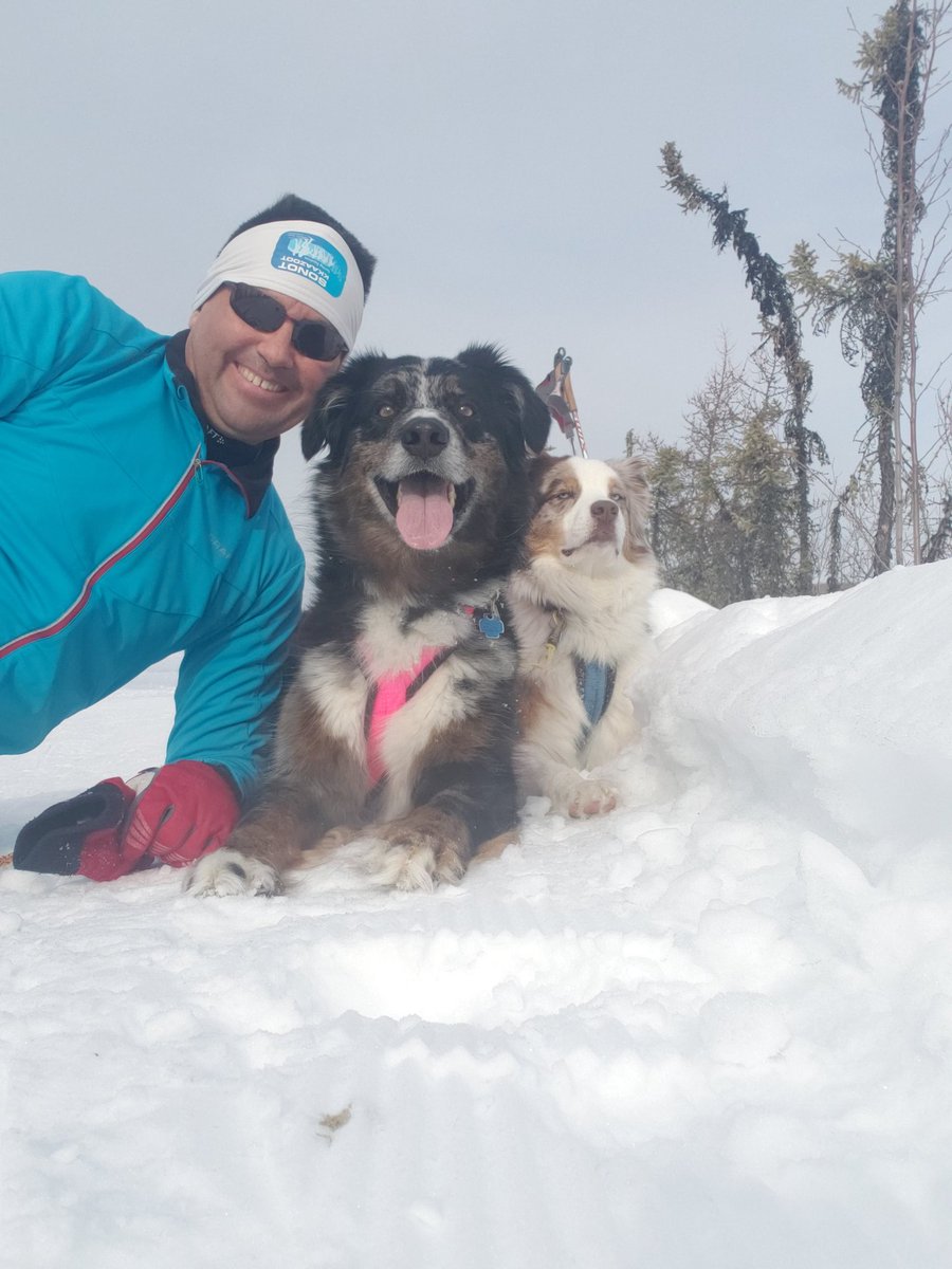 Unbridled joy and majestic stoicism. 

#alaska #winter #skiing #australianshepherd #aussielovers #aussie #redmerle #bluemerle #selfie #goofy #winterfun #puppy #handsome #cuties #skijor #trails #offthebeatenpath #spring #springskiing #puppyoftwitter