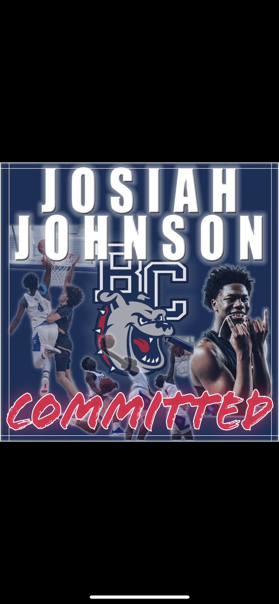 100% Committed 🐶