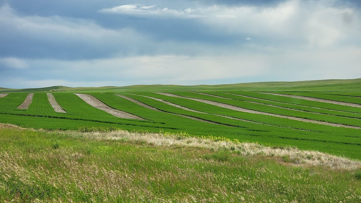 Shaun Haney tweet media