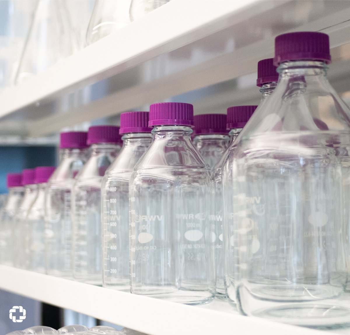 SanDiegoBiomed's tweet image. Following policies, procedures, and the law – is it enough?
Read more at @sd_biomedical instagram.com/p/CuAnZQiy8ue/…