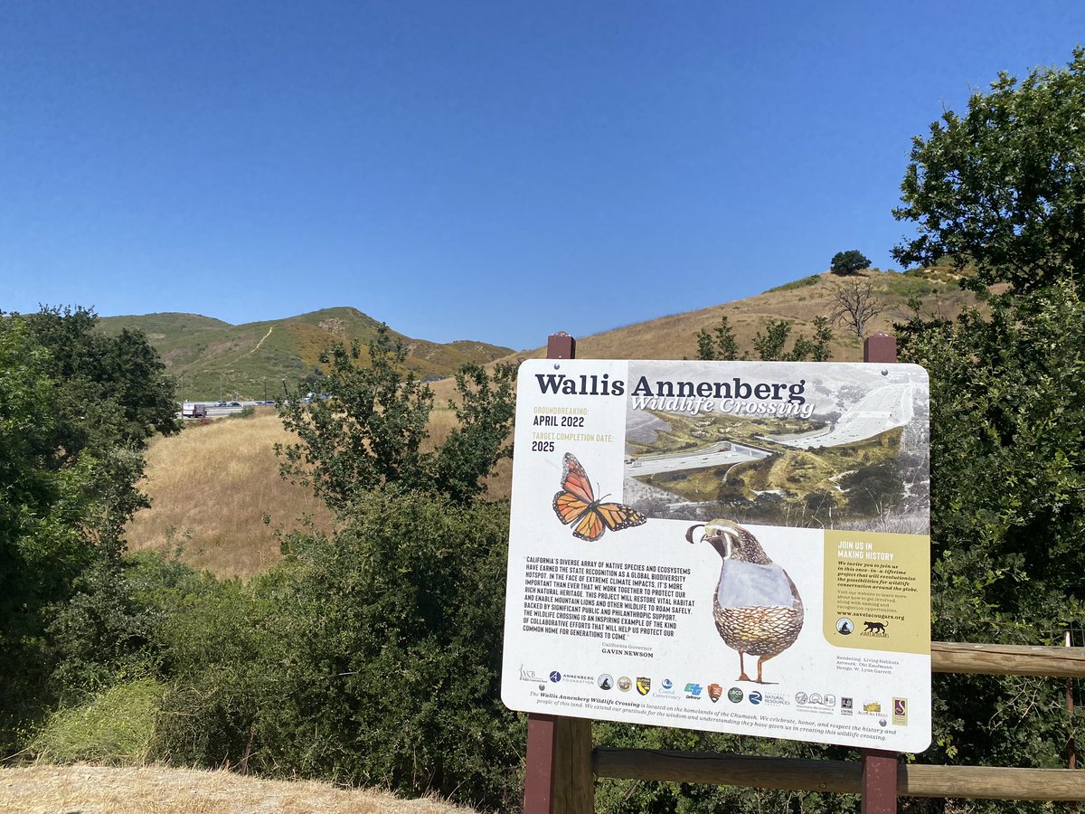 Beth Pratt tweet media