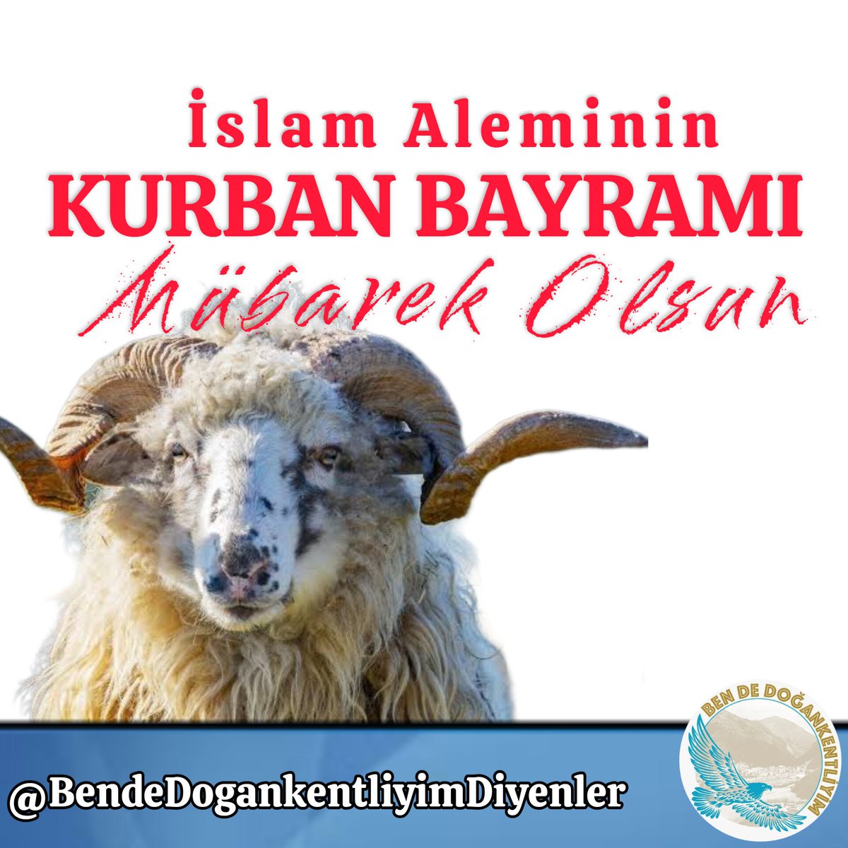 🐏Kurban Bayramı'nın tüm sevdiklerimize sağlık, mutluluk ve huzur getirmesini dileriz. Dualarınızın kabul olduğu, sevgi ve paylaşma duygularının doruklarda olduğu bir bayram geçirmeniz dileğiyle, Kurban Bayramınız mübarek olsun.
#kurbanbayramı #bayram #HarşitTv #Doğankent