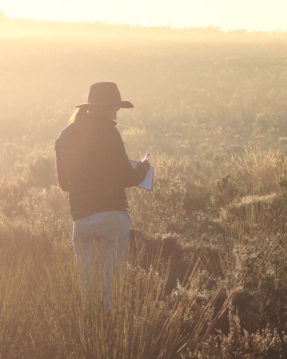 There is still time to contribute to our EOFY fundraiser! 🙏❤️

Help us scale our capacity by providing crucial funding for an ecologist and an administration assistant.

bior.org.au/our-projects/g…

#bior #eofy #conservation #biodiversity