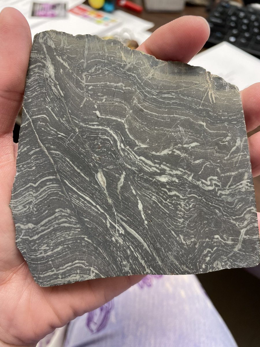 Dr. Cara Burberry, PG tweet media