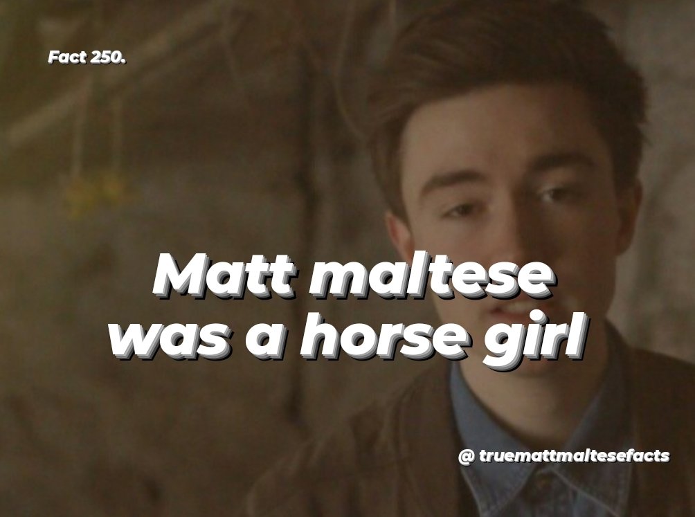 TrueMattMalteseFacts tweet media