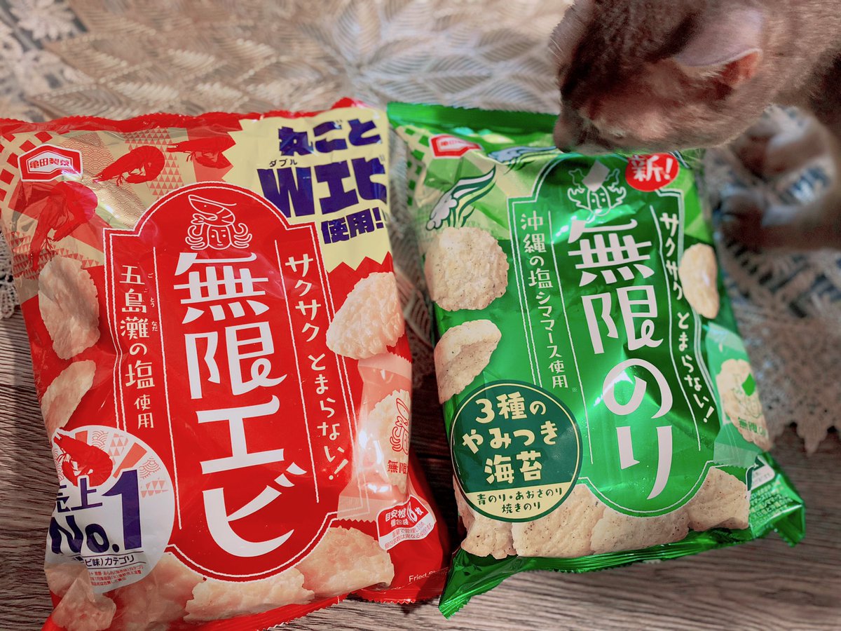 エビエビエビエビ🦐 のりのりのりのり🕺