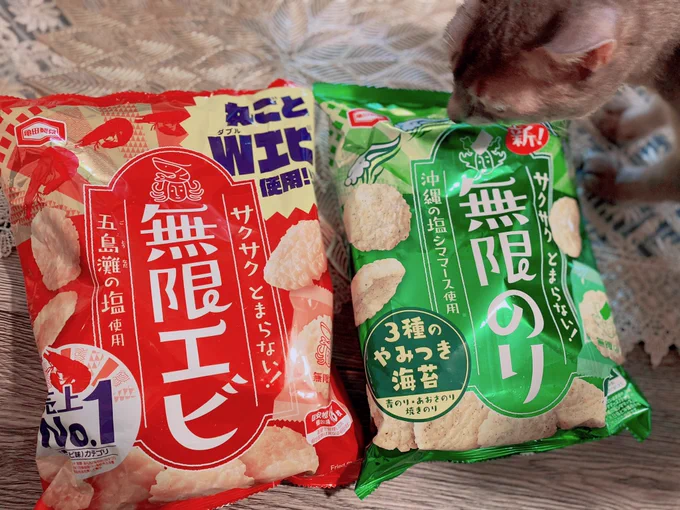 エビエビエビエビ🦐 のりのりのりのり🕺