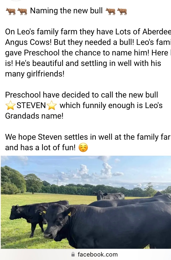 Leo and his class at nursery were asked if they wanted to name the new bull…..meet Steven 😊