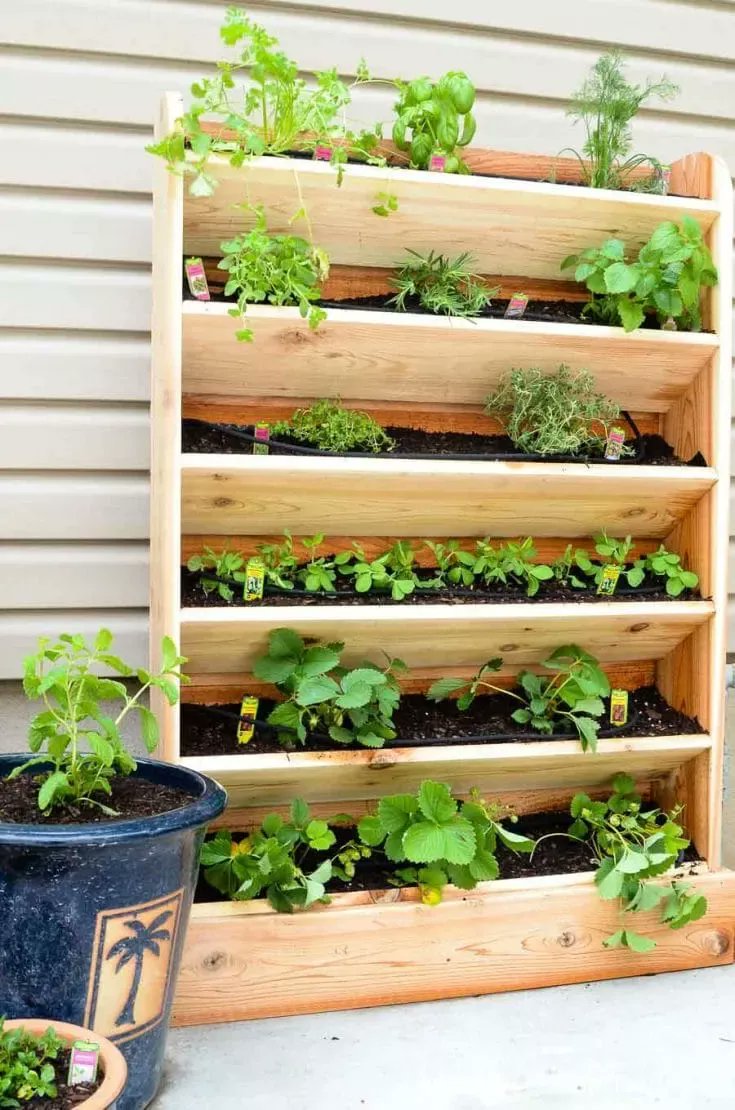 geoguillory's tweet photo. Which of these vertical #garden ideas do you like the most? #homestyle  https://t.co/nGr7CDNcK1 https://t.co/mopxFosyHC