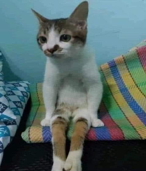 Me watching my friends eat after they asked if I wanted some and I declined (I’m scared of nice people)