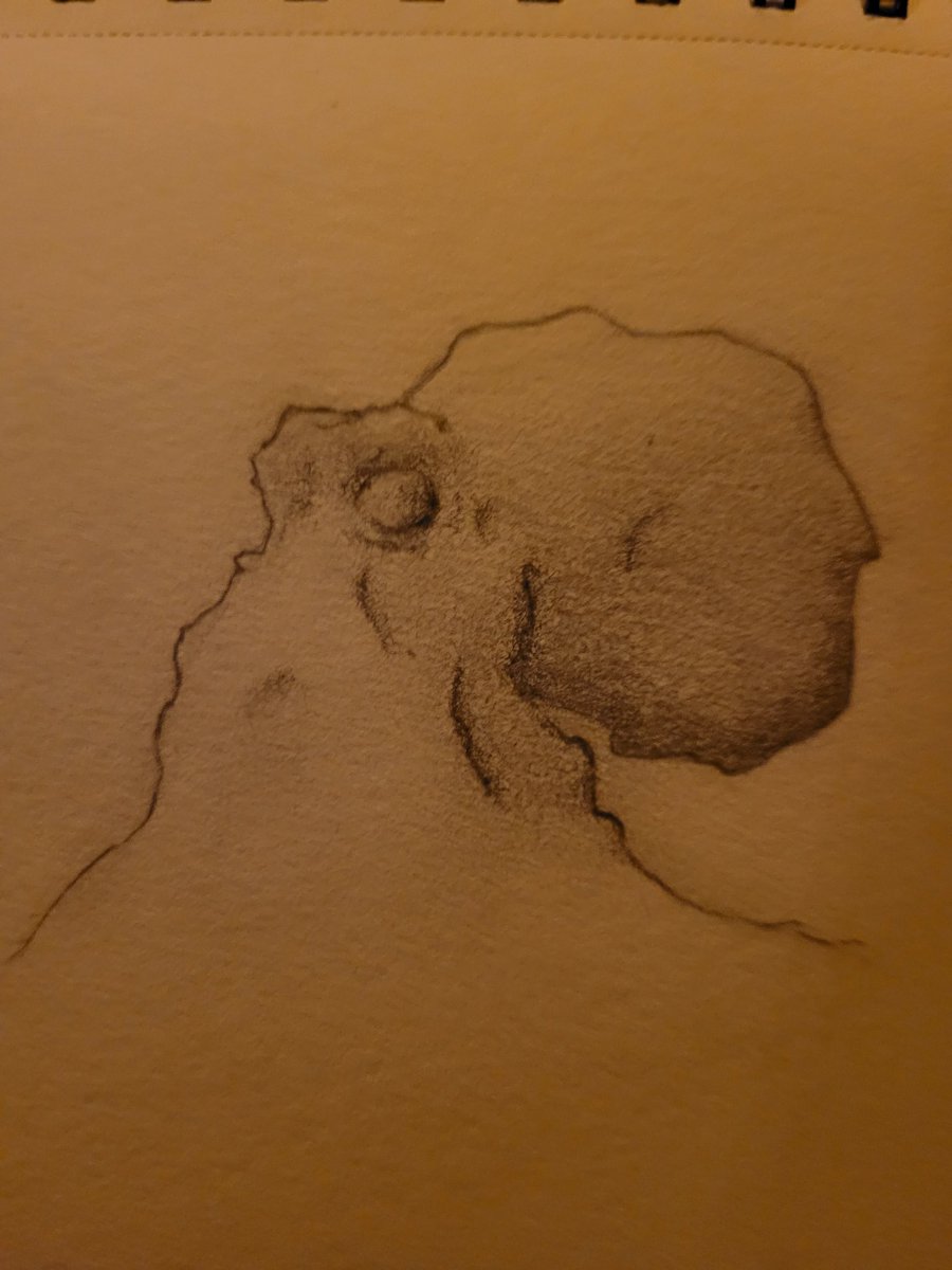 Throwback to when I drew this