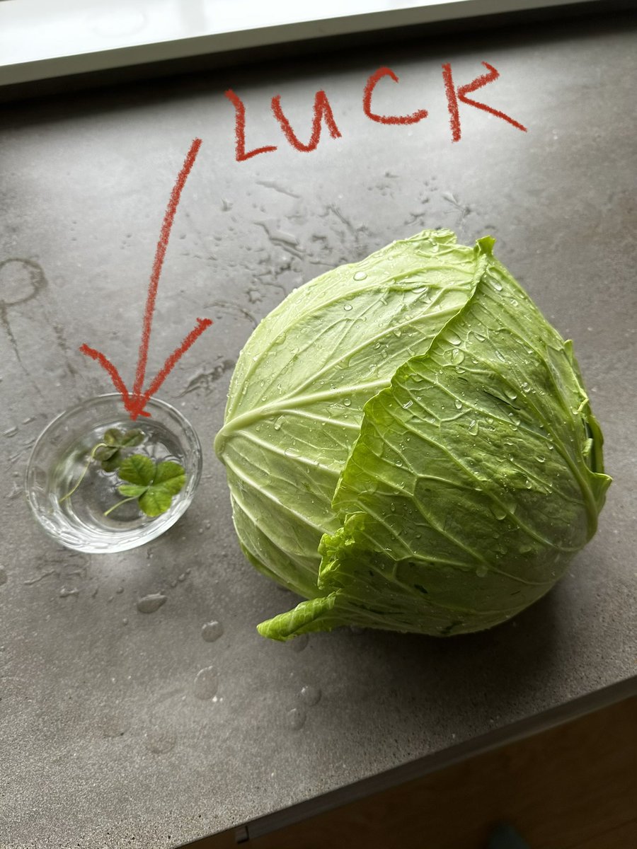 Tim Daly on Twitter "HUMANS!!! I'm good at finding 4 leaf clovers and