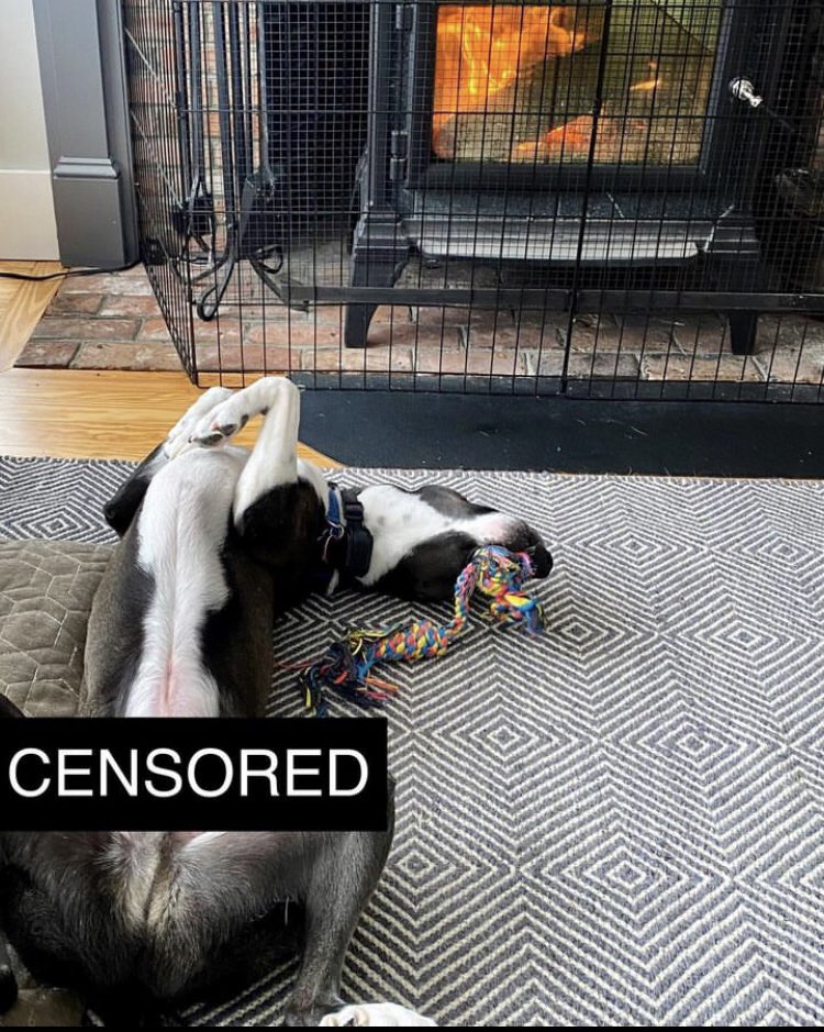 Katie Brickner tweet media