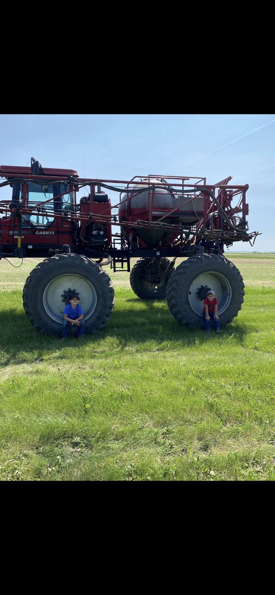 Whitney Maurer tweet media