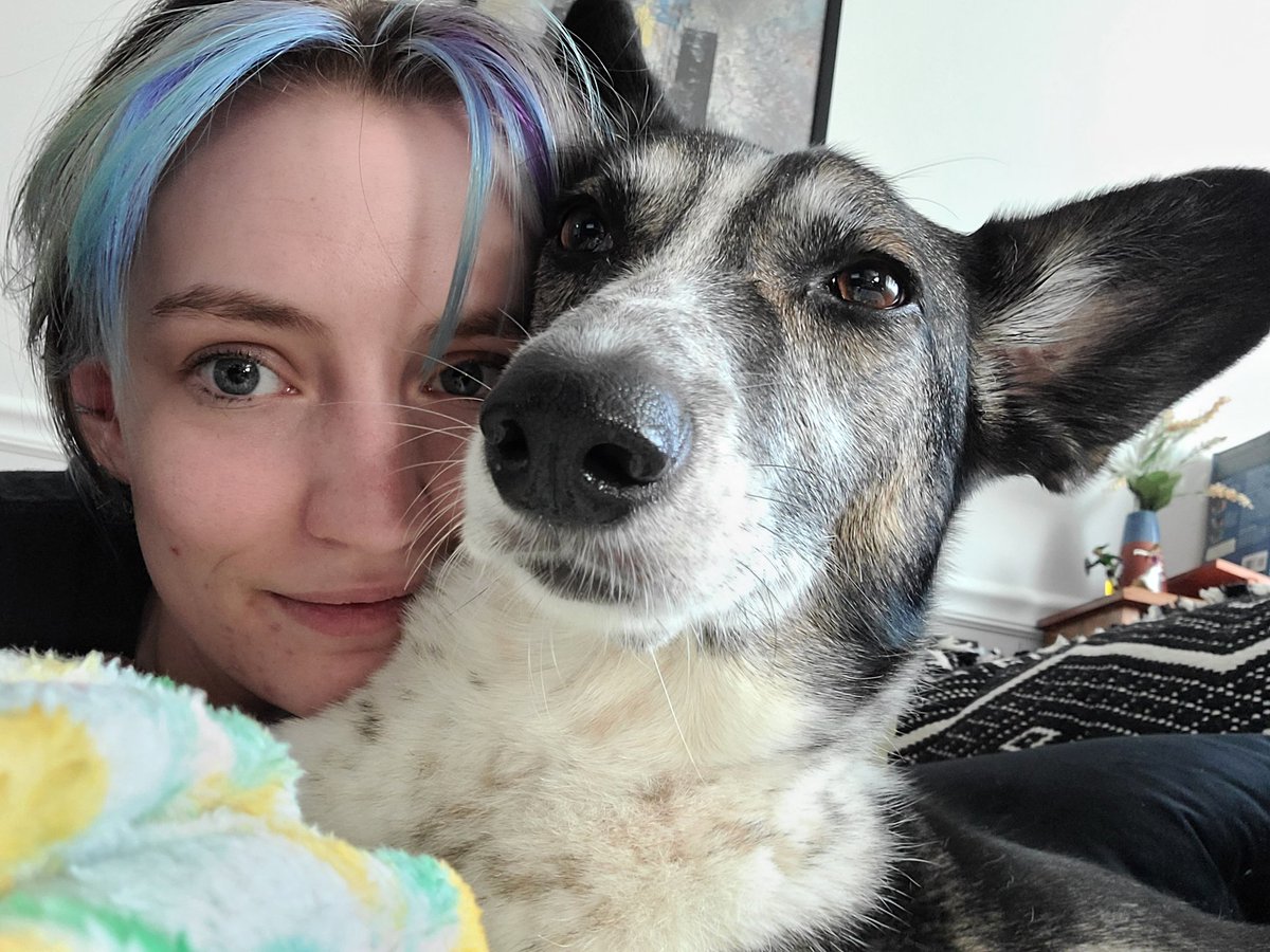 Ms_WattsUp's tweet photo. Hello twitterverse -- I am asking for your mutual aid and help. Our sweet babygirl, Pepper has been diagnosed with B-Cell Lymphoma. We are devastated and trying to keep our heads up about it--it is so scary and difficult to face death with your family so early. https://t.co/BwgAq1vRfg