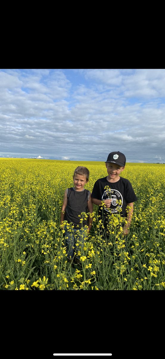 These 2 love helping out in the field! 🔆 <a href="/DEKALB_Canada/">DEKALB Canada</a> #DEKALBlittlehelpergiveaway