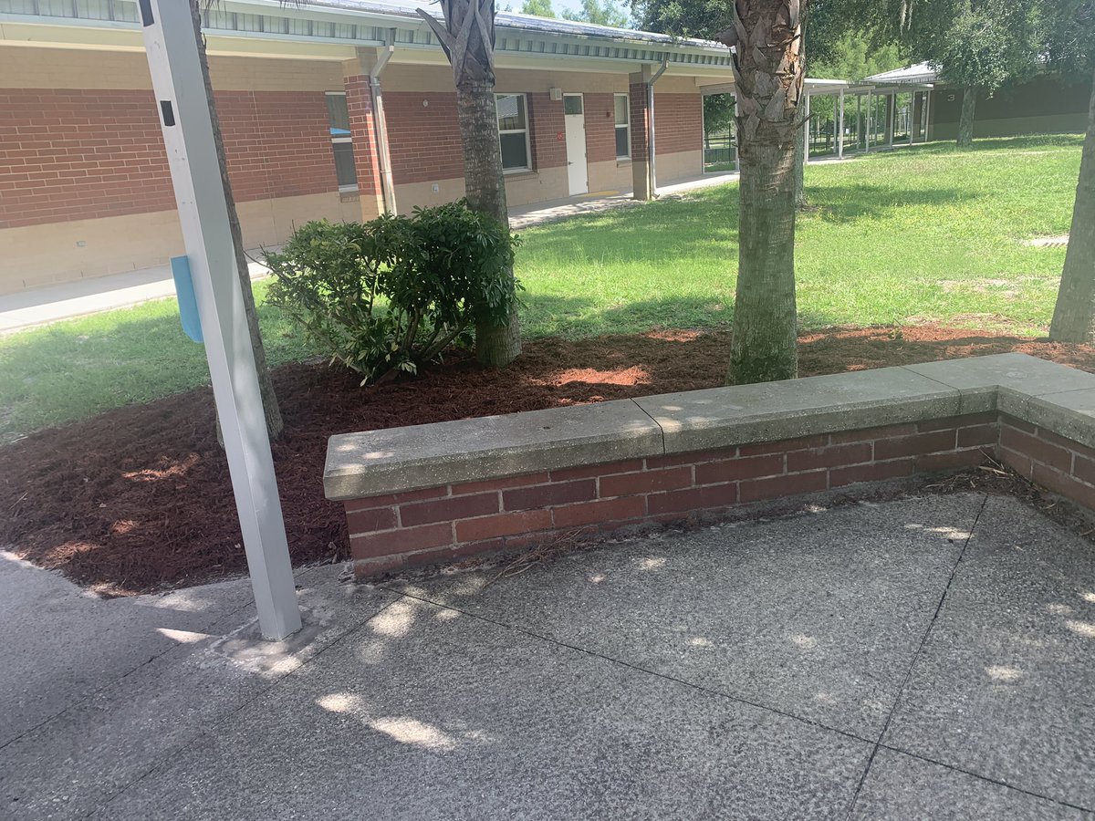cypresscreekvcs's tweet photo. Summer sparkle is underway at CCE๐ Thank you Mr. Sean & our wonderful families for donating mulch. Gorshack, Thibodeau, Sheflin & Priceโs Mulch & Dirt #ottersmatter #ottersSWIM https://t.co/hmel6Ku759