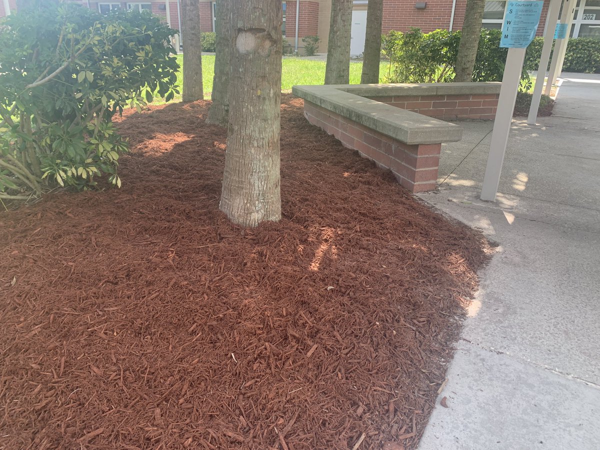 cypresscreekvcs's tweet photo. Summer sparkle is underway at CCE๐ Thank you Mr. Sean & our wonderful families for donating mulch. Gorshack, Thibodeau, Sheflin & Priceโs Mulch & Dirt #ottersmatter #ottersSWIM https://t.co/hmel6Ku759