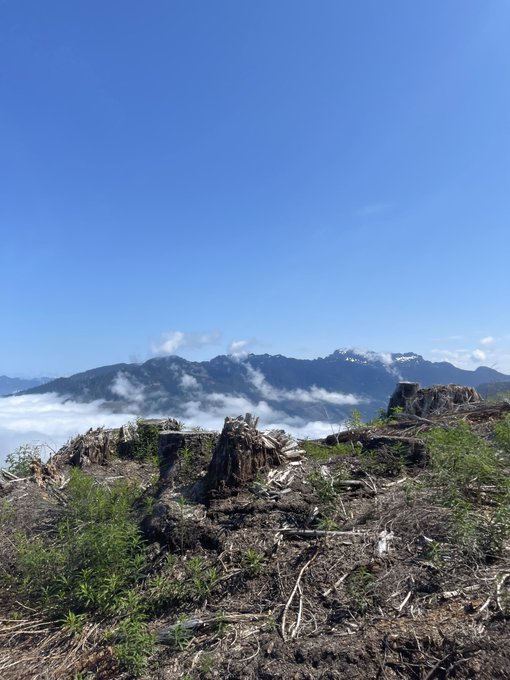 Not a bad view from the office today. https://t.co/c9z1rRxRwo