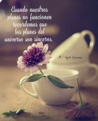 <a href="/Isabelm68589430/">Isabel 🎗 🇪🇸🇮🇱🇮🇨</a> Buenos noches!#YoMeRebelo28J