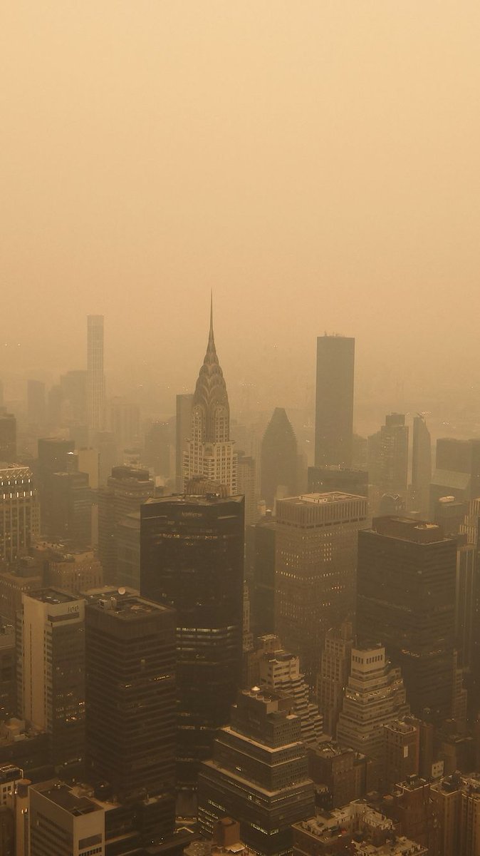 Dr. Lucky Tran tweet media