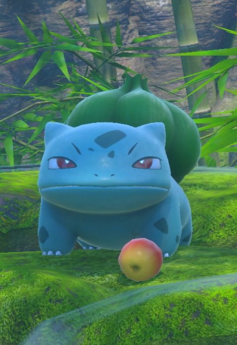 PokemonGems's tweet photo. Mood https://t.co/NESGQKCVQa