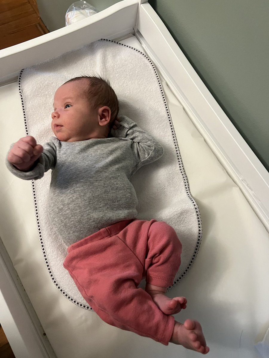 dwhorton's tweet photo. I have never changed the diaper of an MMA fighter, but I have to imagine it is quite similar to trying to change Ayla. She is going to catch me in an arm bar soon and break my arm. #MMAbaby #LittleFighter #GirlDad https://t.co/dUPAqHHxGW