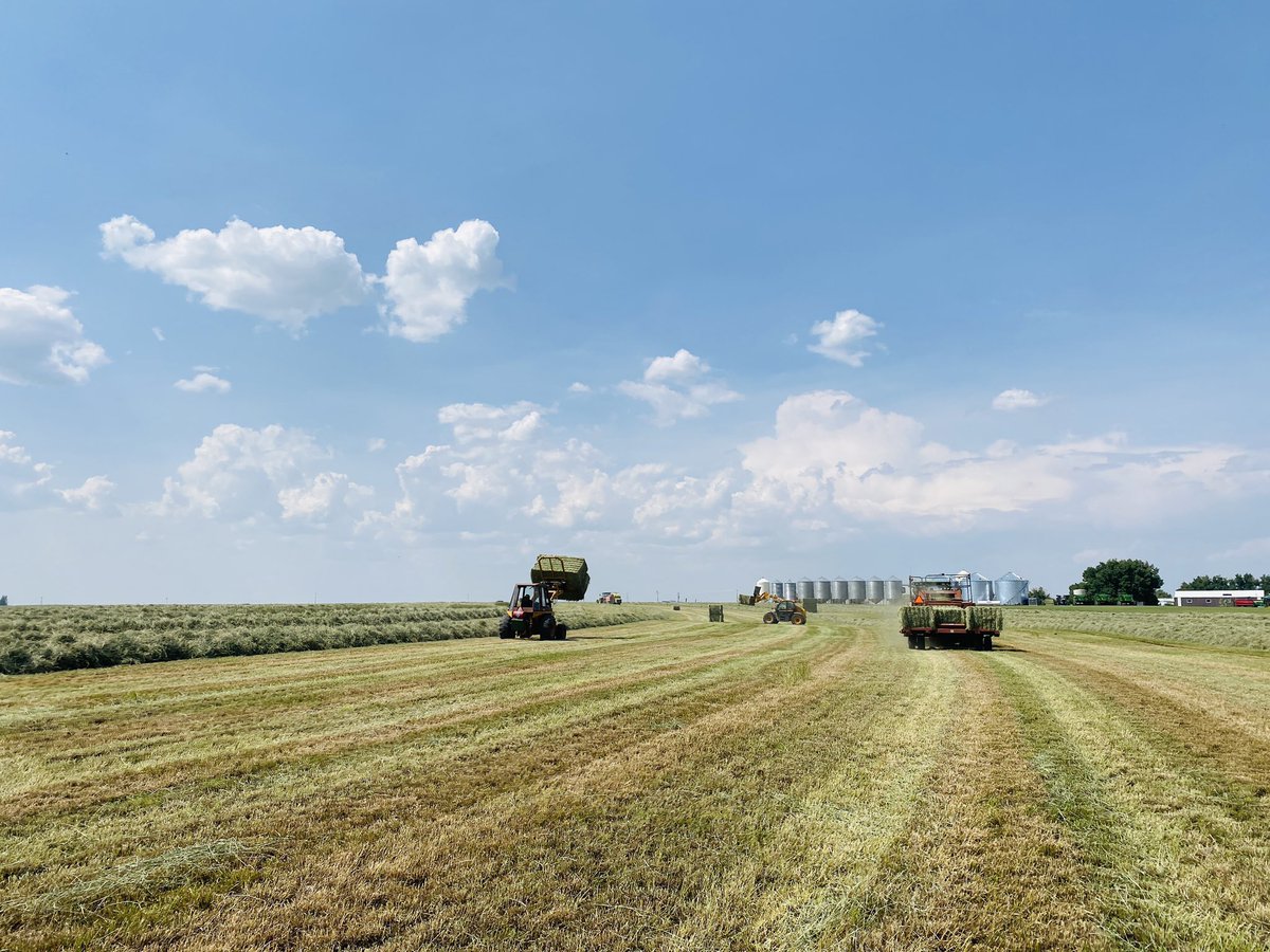 Great day for putting up the last field of Timothy.