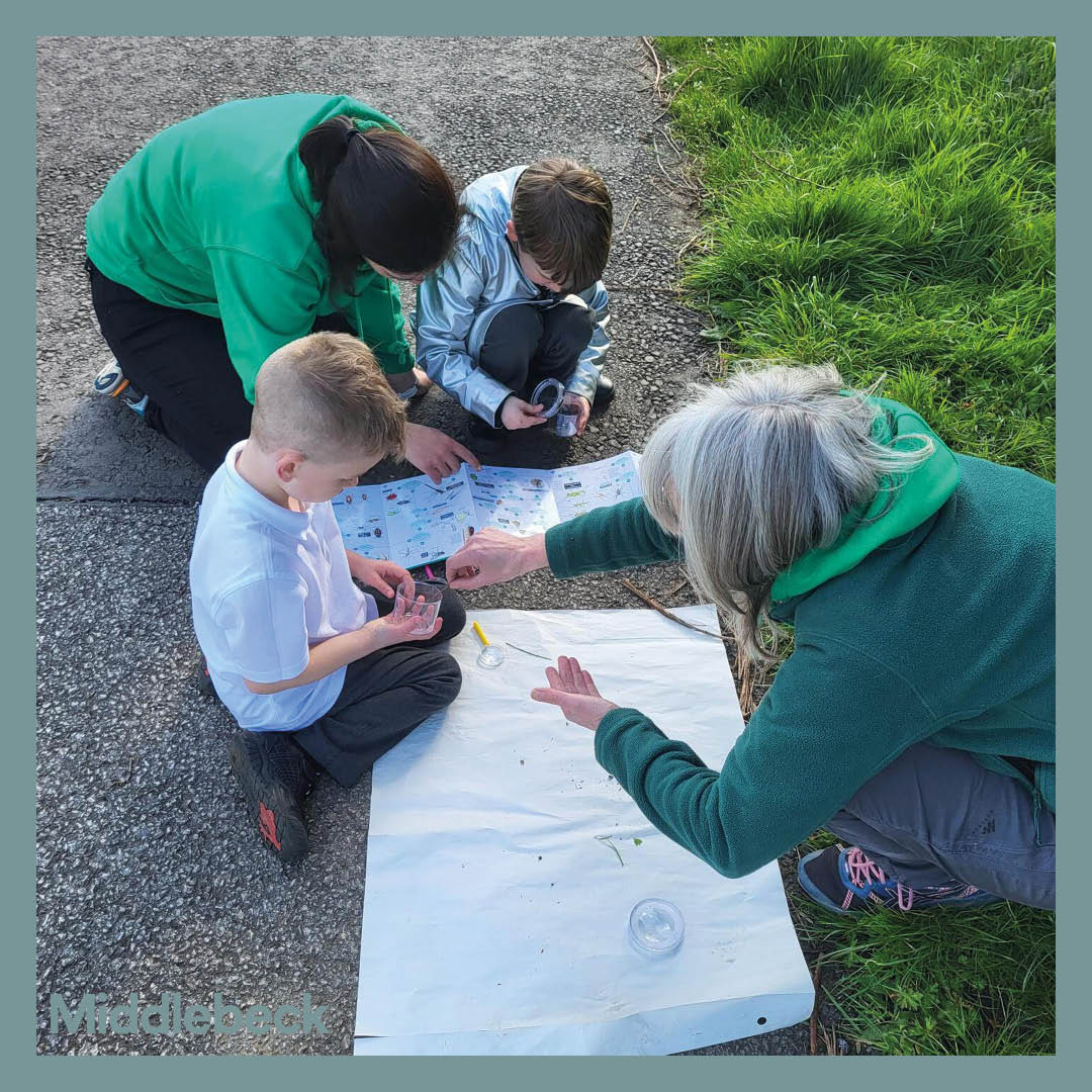Middlebeck_'s tweet photo. Birds, Bugs and Bees! 🦆🐛🐝

With this glorious weather, we are looking back on our bug hunting events. Residents young and old came together to help local experts identify creatures which also call Middlebeck their home 🏠🐜

@sustranseastmidlands

#Middlebeck #Bioblast #Newark https://t.co/Op956Efli2