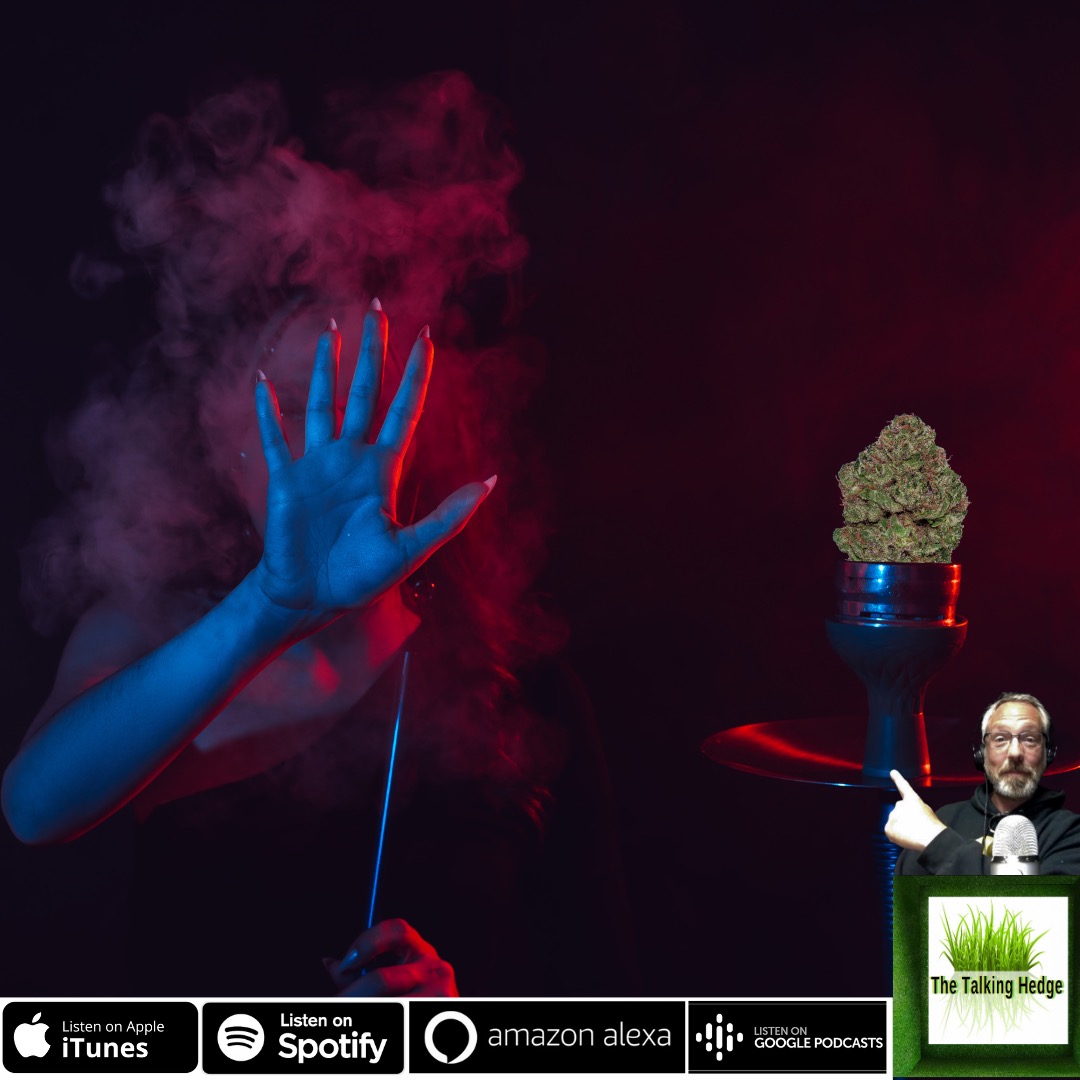 The Talking Hedge | Cannabis Consumption Events &amp; Trade Shows is out. Check it out here: thetalkinghedgepodcast.com