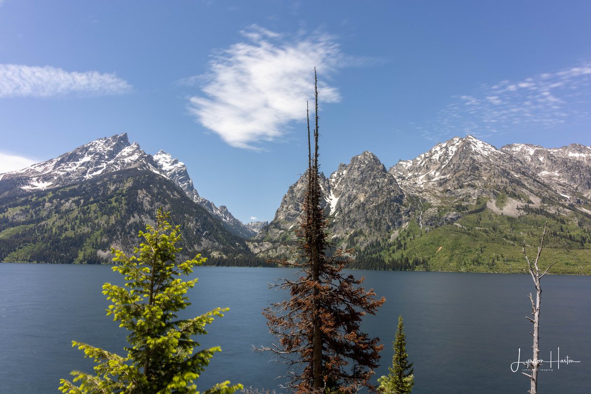 Jenny Lake (Grand Teton National Park)
#lake #grandteton #grandtetonnationalpark #jennylake #wyoming #nature #outdoors #landscape #naturephotography #outdoorphotography #landscapephotography #Canon #R5 #reallyrightstuff #lightroom