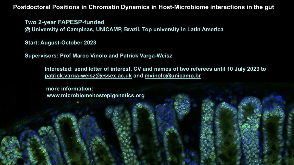Postdoctoral Positions! 
<a href="/VinoloM/">Marco Vinolo</a>
<a href="/PatVargaWeisz/">Patrick Varga-Weisz</a>