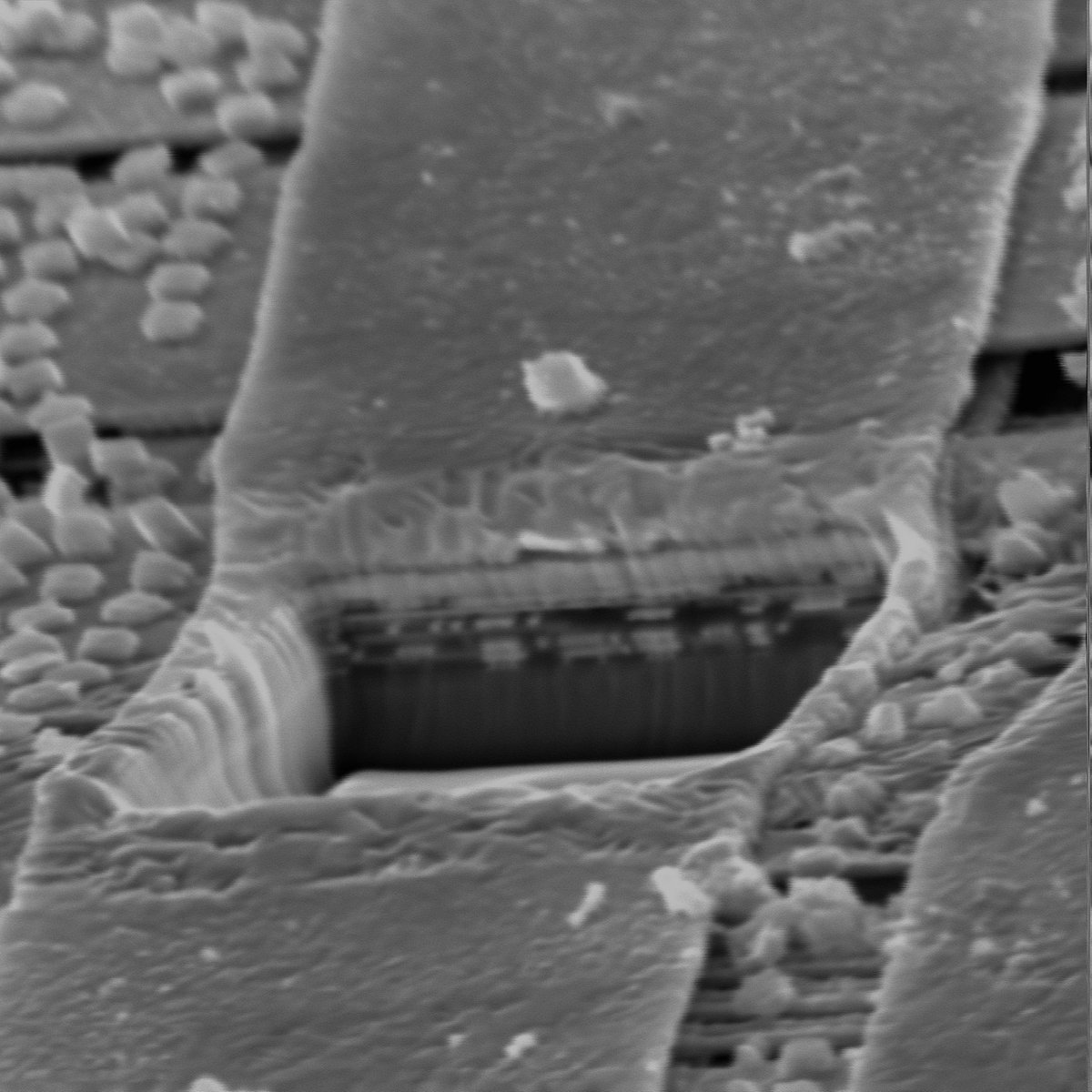 here’s a shot from our teardown demo! this is an ice40 FPGA that @nanographs milled a trench through with a FIB, and then we put it in an SEM to get clearer images of the cross section. This is at about 20kx