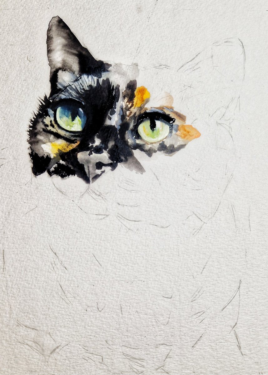 Night night Furpals 🥰 tonight's progress made on Hissie Missy for @stripeyspotty 🙂

What do you think? DM if you would like to order a pawtrait 😻

#cats #CatsOfTwitter #petportrait #petportraitartist