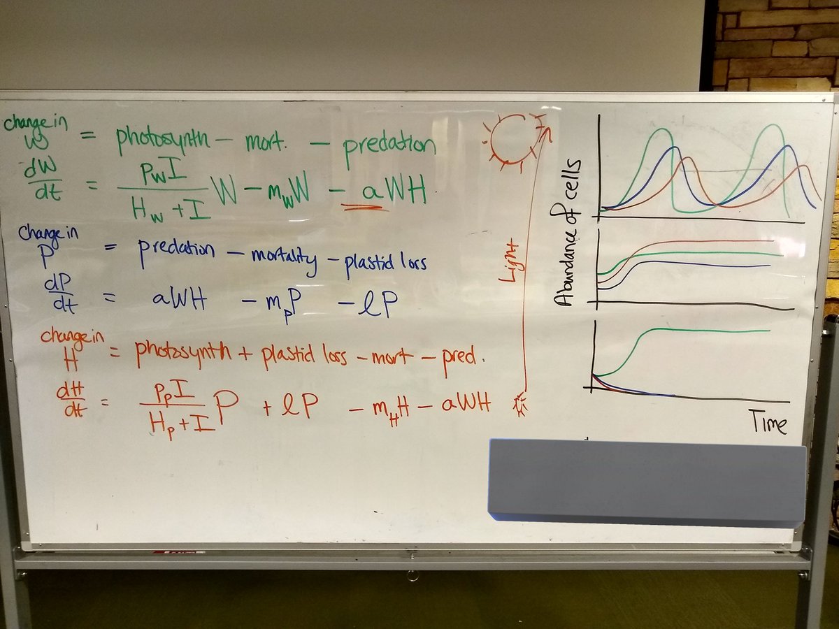 mixotrophe's tweet image. Chalk-talking the equations from yesterday&apos;s simulation. I feel so lucky to be invited to talk to such a fun, dynamic audience at @sfiscience #CSSS2023 today! #figaday 2.44 #year2