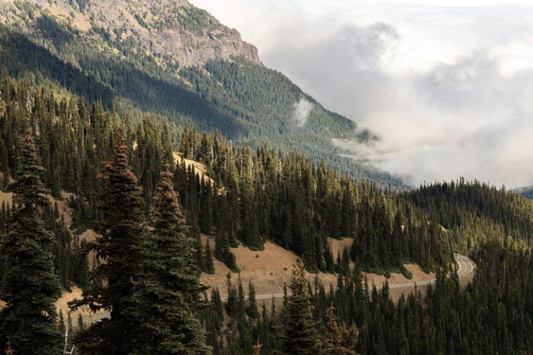 Good news! Hurricane Ridge in Olympic National Park will reopen to visitors today, June 27. The area closed in May following a fire at the day lodge.

Please note there will be vehicle capacity restrictions when visiting. Learn more: bit.ly/3CSLiDX

📷: @ masterjaron