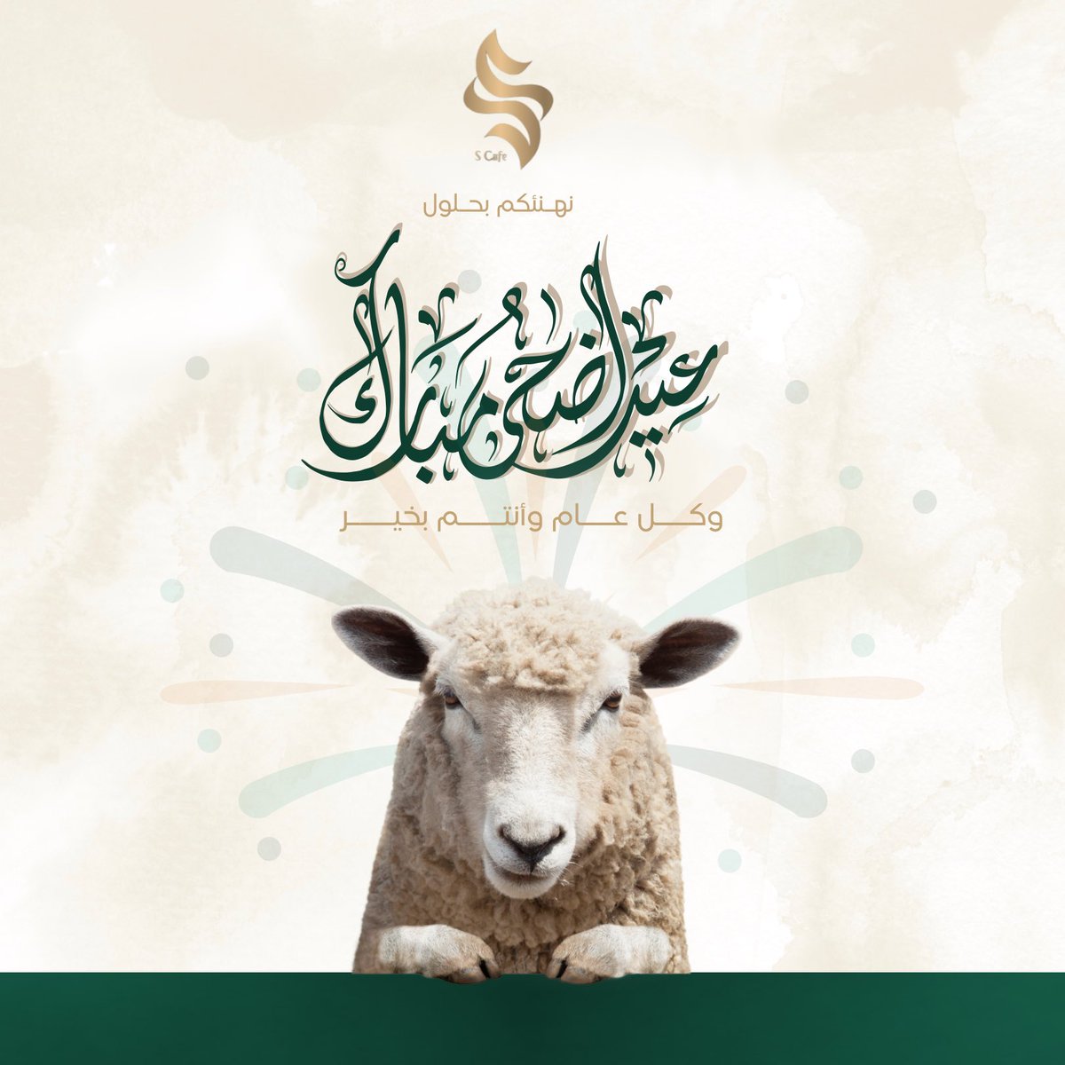 نهنئكم بحول عيد الأضحى المبارك 🐑✨✨
وكل عام وأنتم بخير 🤍🤍
