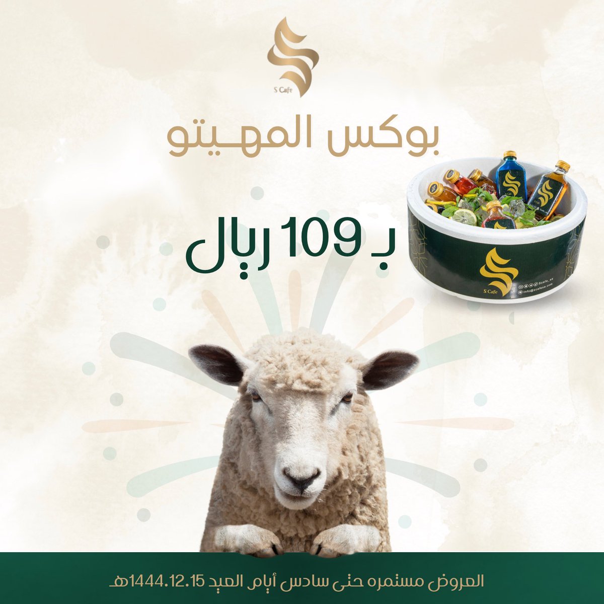 عروض العيد 😍✨✨