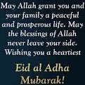 Hossain Sajjad (@hossainsajjad10) on Twitter photo 
