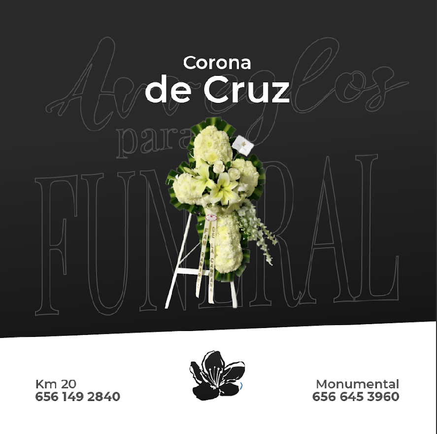Lamento mucho tu pérdida🫂
Envíos a toda la ciudad.
📞656 149 2840
#flores #regalo #juarez #funeral #floresfuneral #rappi #envioadomicilio #floresdejuarez #parati #flowers #mexico #marketing