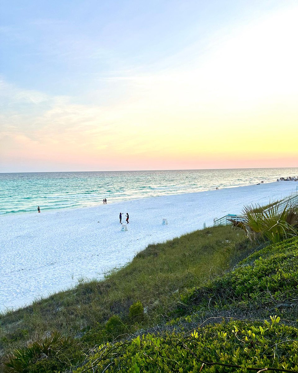 South Walton tweet media