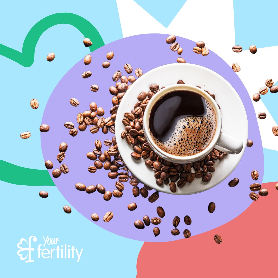 Do you know what drinks contain caffeine? How much does caffeine impact the chance of pregnancy? Learn more about caffeine and fertility here: yourfertility.org.au/everyone/drugs… #YourFertility #Fertility #FertilityHealth #Caffiene