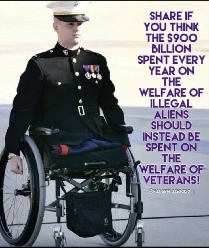 Veterans Before Illegal Aliens