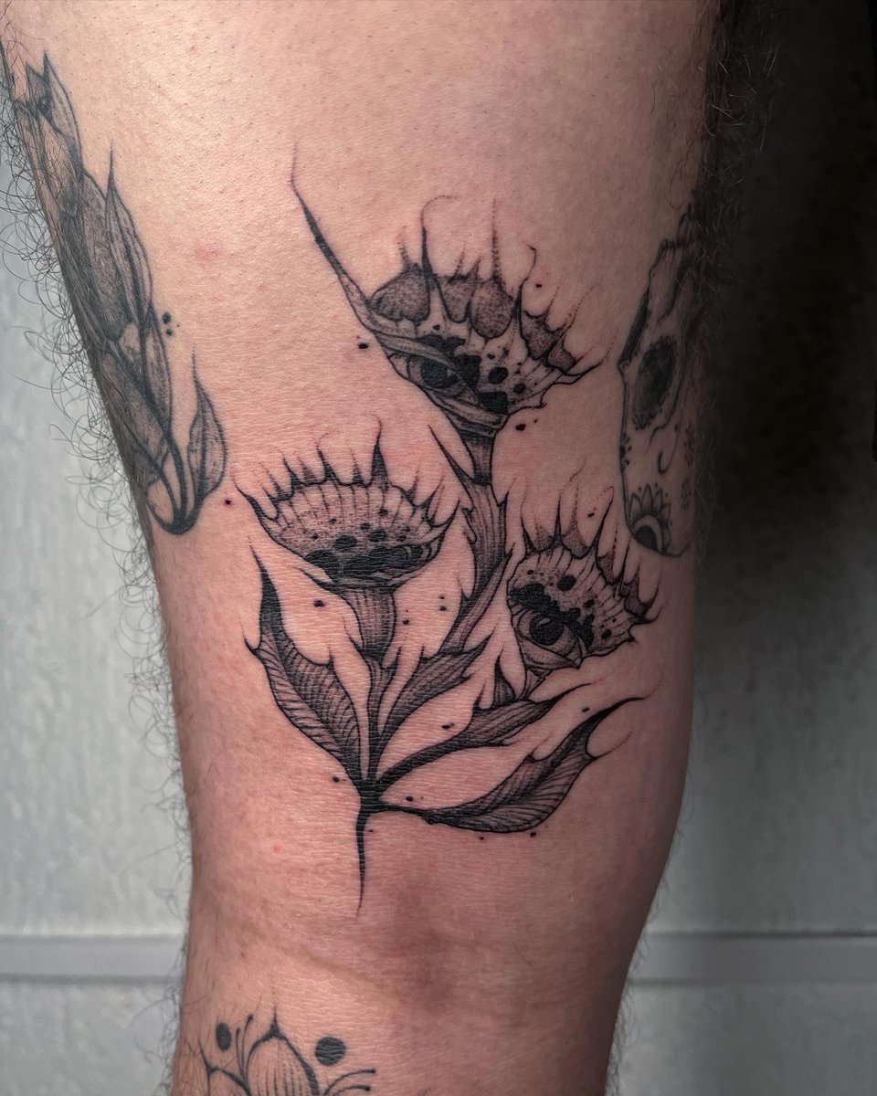 Planta Carnívora 🌿
Tengo muchos diseños disponibles en mis historias destacadas. De Instagram (@ elinkdigo)✨
Hecho en manosacrastudio 🪬
.
.
.
.
Citas y cotizaciones:
DM o WA (5627609290)
.
D💣
.
#tattoo #blackworkers #blxckink #darkartits #onlyblackart #tatuajesnegros