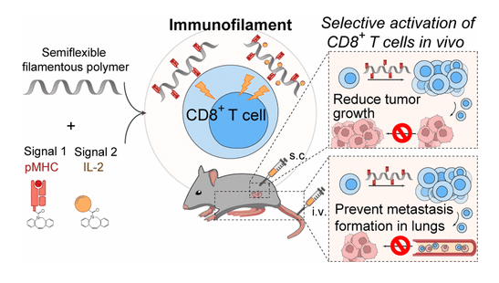 celltherapynews's tweet photo. 🥼 Researchers engineered #nanosized immunofilaments, with a soluble semiflexible polyisocyanopeptide backbone that presented peptide-loaded major histocompatibility complexes and costimulatory molecules multivalently.

📑 @acsnano | https://t.co/gXalpIhd8P https://t.co/H35mzgJuMp