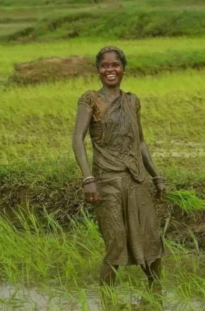 It's Monsoon smile on farmworker, foodmaker and hardworkers face in Rural Farm India. Monsoon spoted pan India. We eat cause she works!
#riceplanting
#farmlabour
#ladyfarmer
#riceplanting
#FarmLife
#Farm
#farmwoman
#Monsoon2023

@PMOIndia
@nstomar 
@icarindia 
@AgriGoI 
@FAO