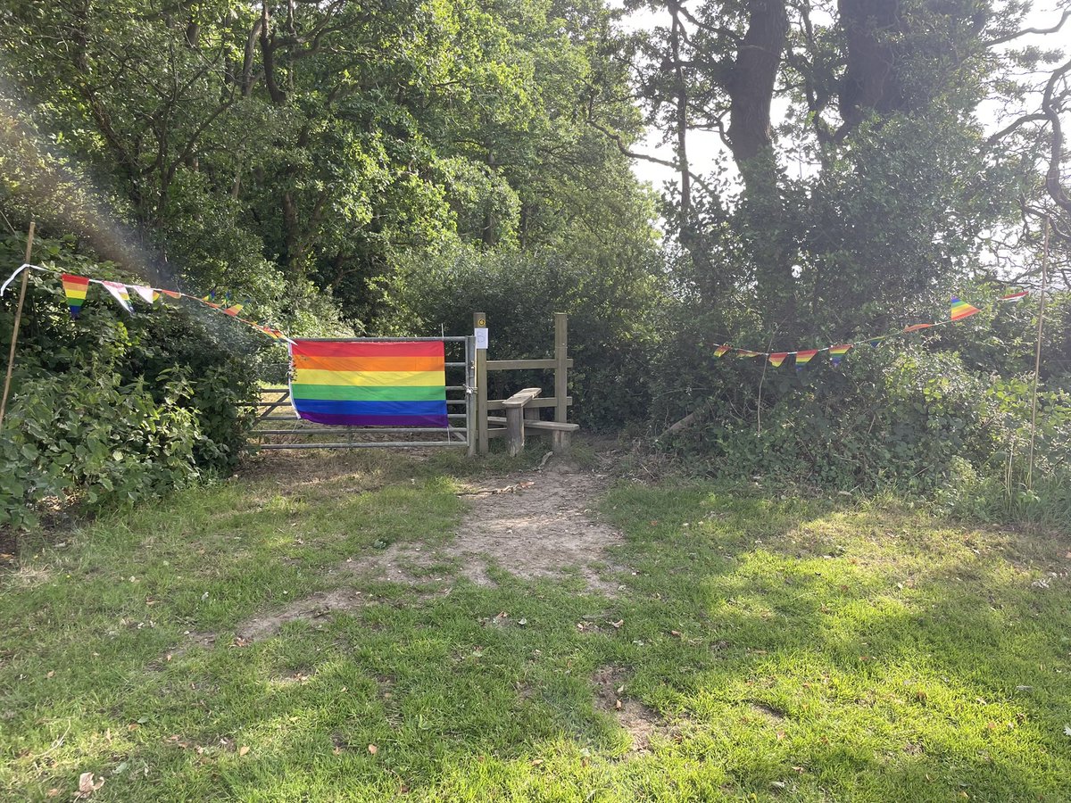 Mrs Nikiteas tweet media