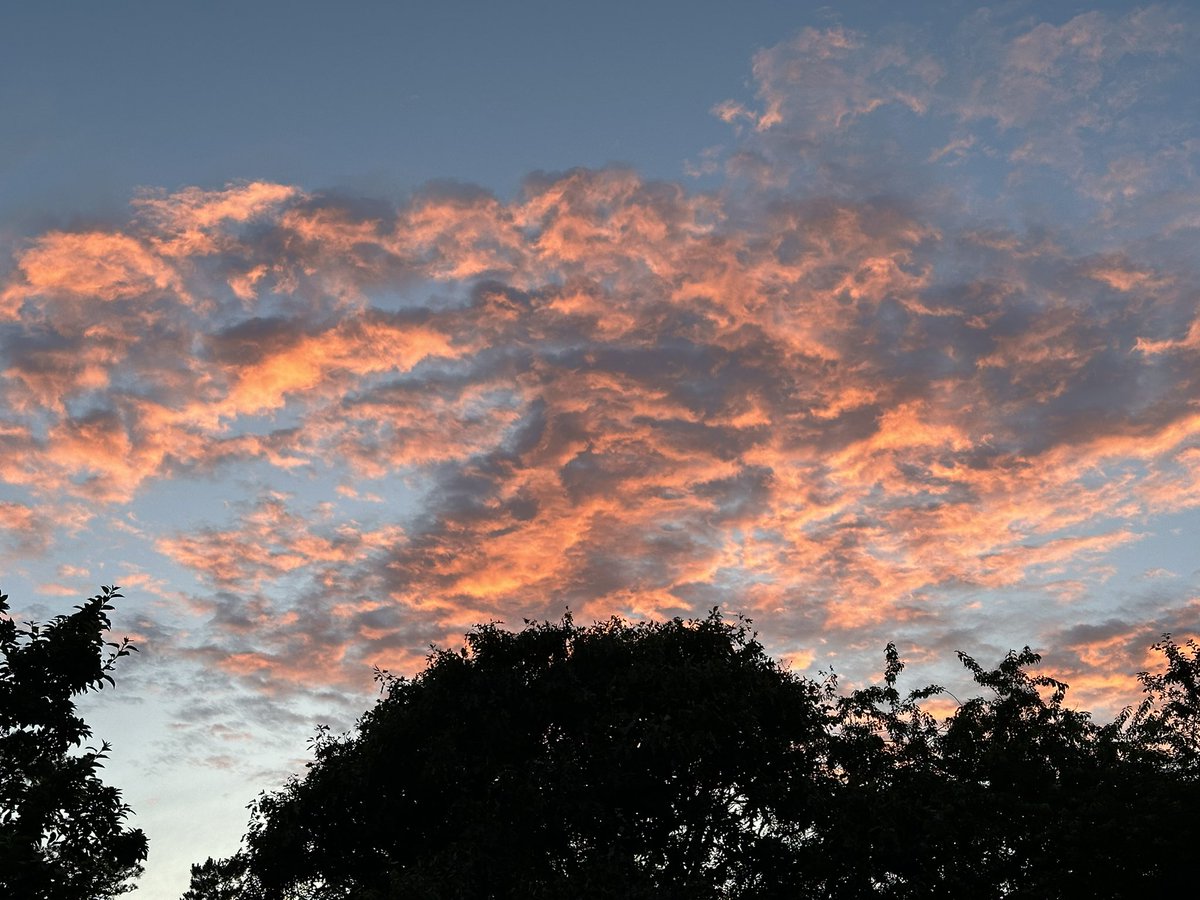 Beautiful evening with so much color in the sky 😍 #rainbow #fromthefarm #NatureBeauty #newenglandweather #sunset #capecod #harwich