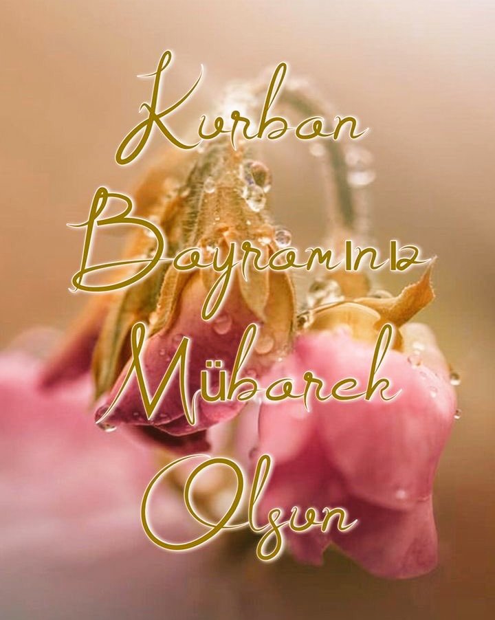 _masalgibi's tweet image. Sevdiklerimizle 
musmutlu Bayramlara 
Huzur dolu
Sağlıkla .... 🍬🍫🍭🍡🍬

#KurbanBayramı